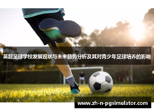 英超足球学校发展现状与未来趋势分析及其对青少年足球培养的影响