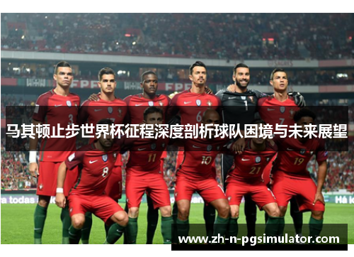 马其顿止步世界杯征程深度剖析球队困境与未来展望