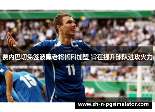 费内巴切免签波黑老将哲科加盟 旨在提升球队进攻火力