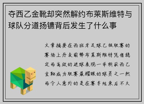 夺西乙金靴却突然解约布莱斯维特与球队分道扬镳背后发生了什么事 夺西乙金靴却突然解约布莱斯维特与球队分道扬镳背后发生了什么事